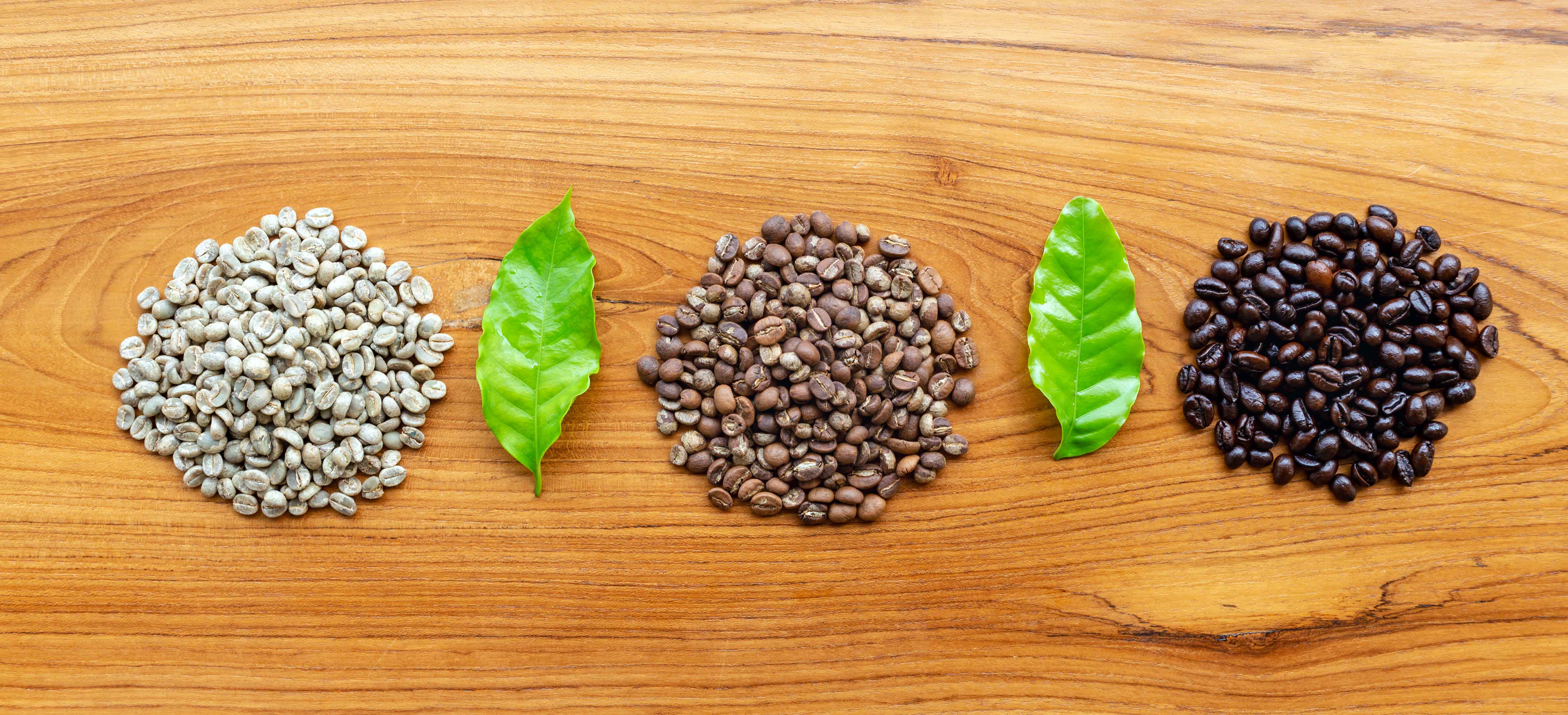 Stages of Coffee Beans